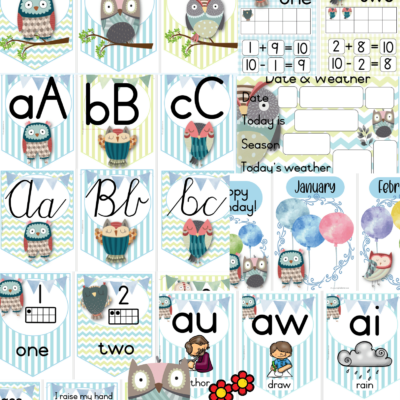 Owls Classroom Theme