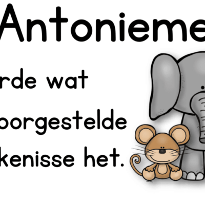 Plakkaat: Antonieme
