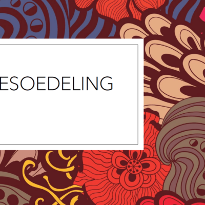 Besoedeling/Pollution PPT