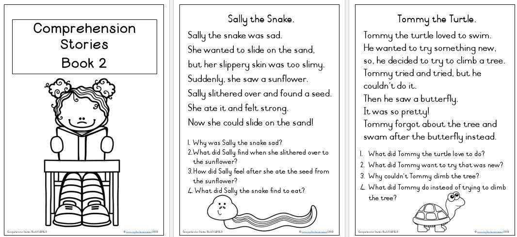 Book 2: 25 Short Comprehension Stories (LEVEL 2) - Image 2