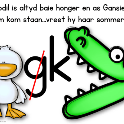 Plakkaat: g/k Reël