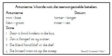 Graad 2 Huistaal Taalgebruik TAAKKAARTE 1 - Image 4