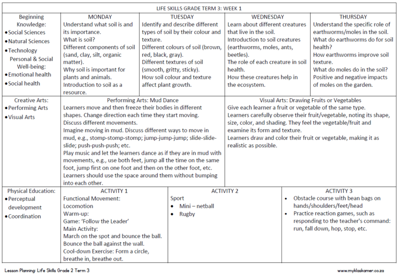 Grade 2 Life Skills Lesson Planning Term 3 - My Klaskamer