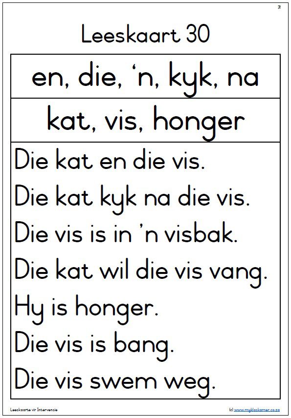 Intervensie Leeskaarte 2 - Image 5