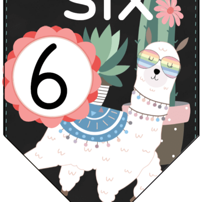 Llama Numbers 1-10 Bunting