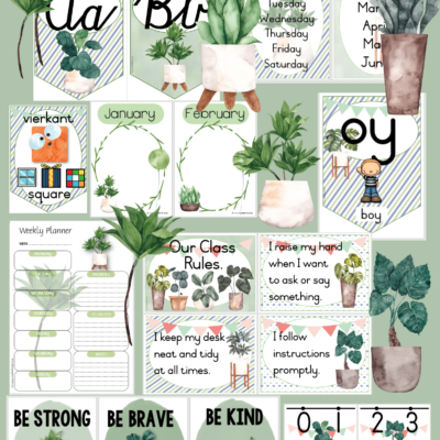 Potted Plants Classroom Theme