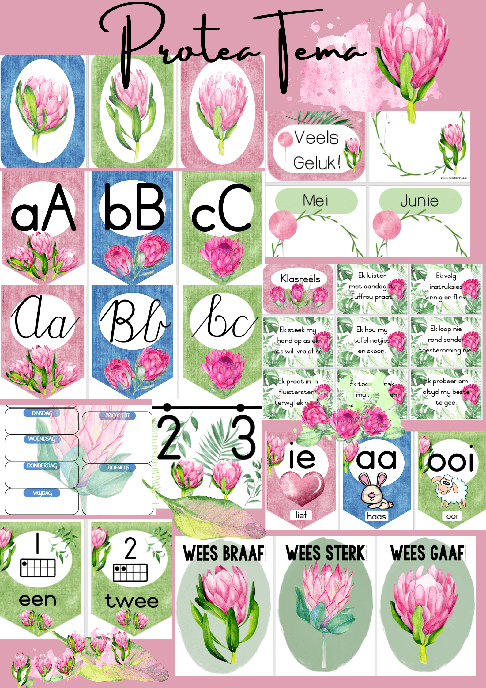 Protea Klaskamer Tema