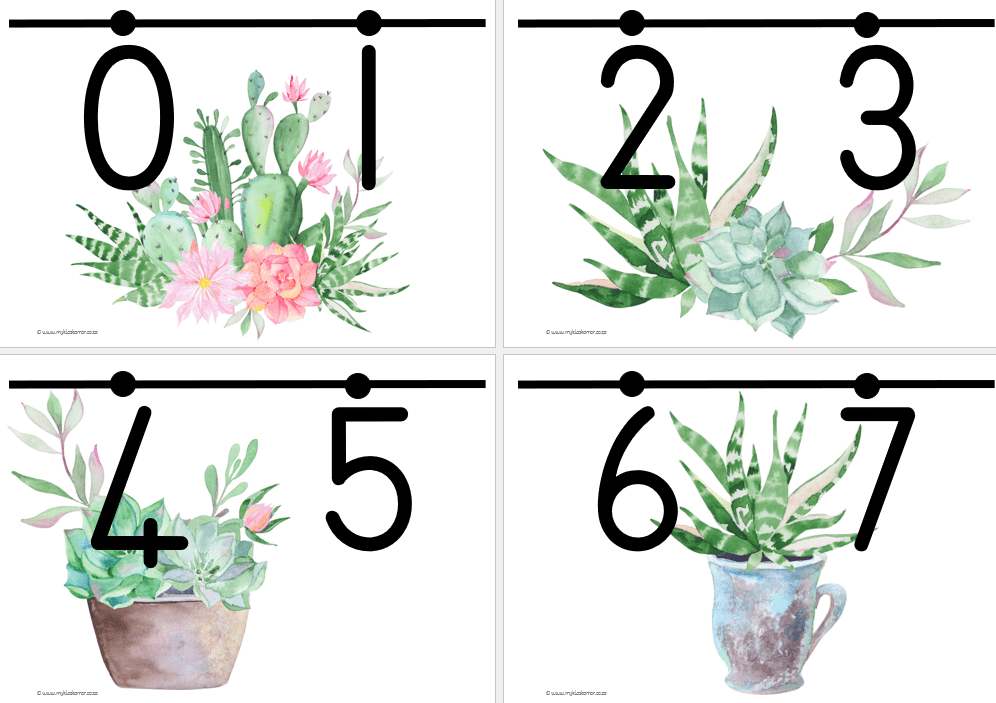 Cactus Classroom Theme - Image 8