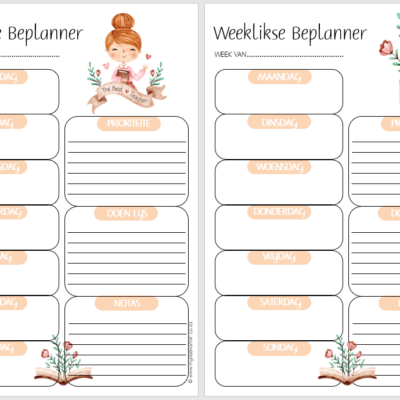 Teacher Inspire Weeklikse Beplanner