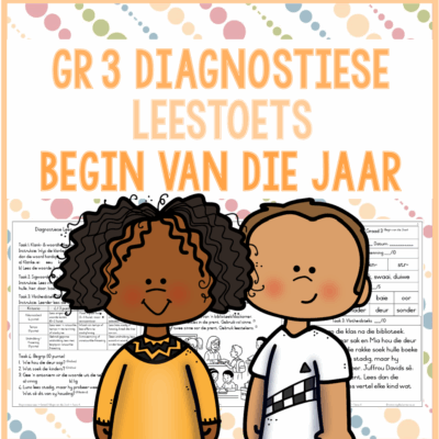 Graad 3 Diagnostiese Lees – Begin van die Jaar